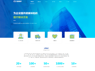  医疗、保健行业彩色模板网站